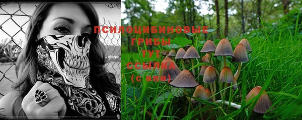 молекула духа Кинешма