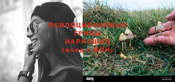 молекула духа Кинешма