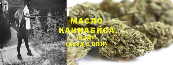 молекула духа Кинешма