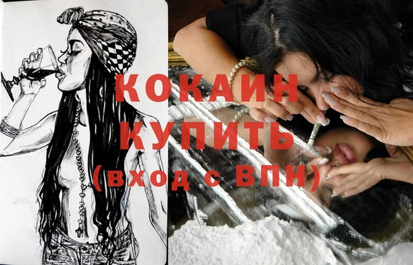 молекула духа Кинешма