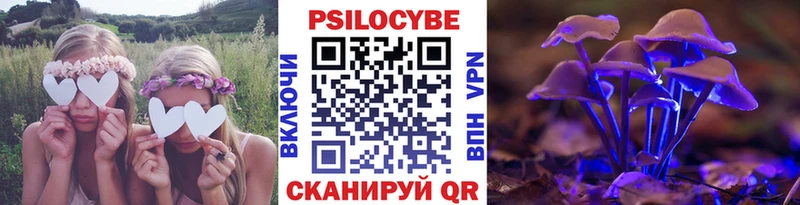Псилоцибиновые грибы Psilocybe  Купить где  Вяземский 